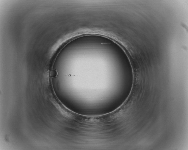 X0000095911503200801181344