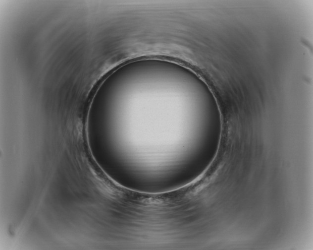 X0000095911505200801181344