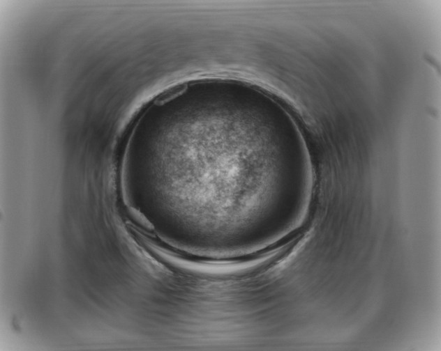 X0000095911506200801181344