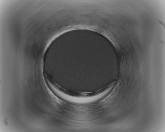 X0000095911508200801181344