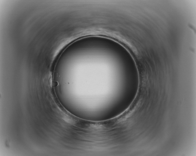 X0000095911509200801181344