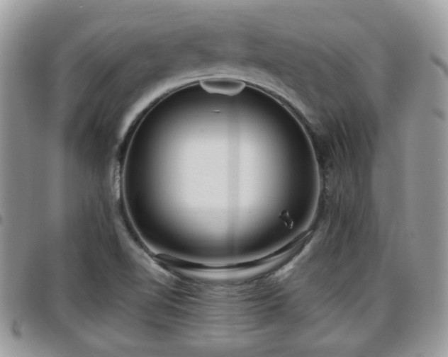 X0000095911510200801181344