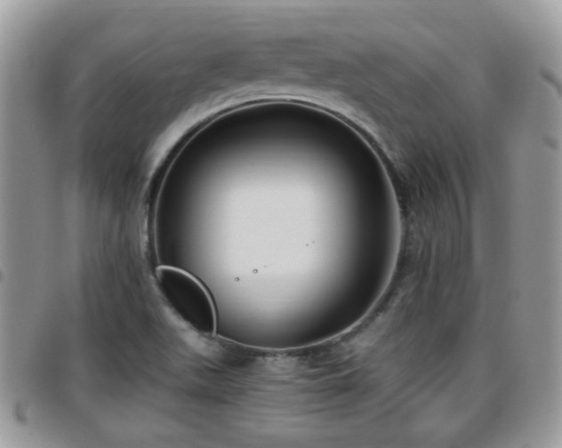 X0000095911511200801181344