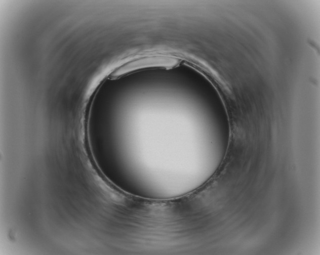 X0000095911512200801181344