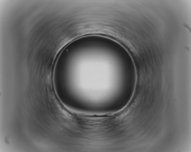 X0000095911513200801181344