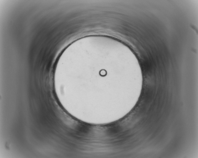 X0000095911514200801181344