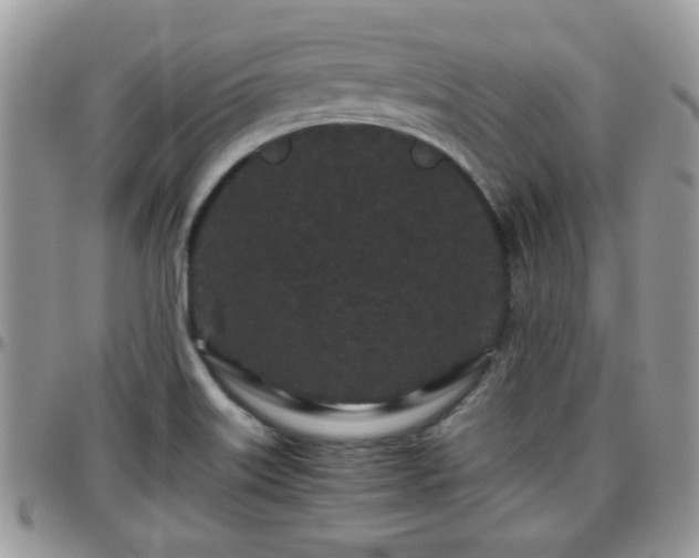 X0000095911515200801181344