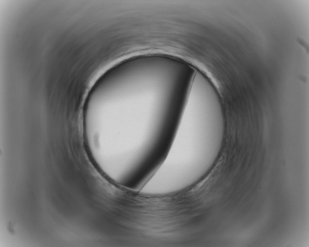 X0000095911516200801181344