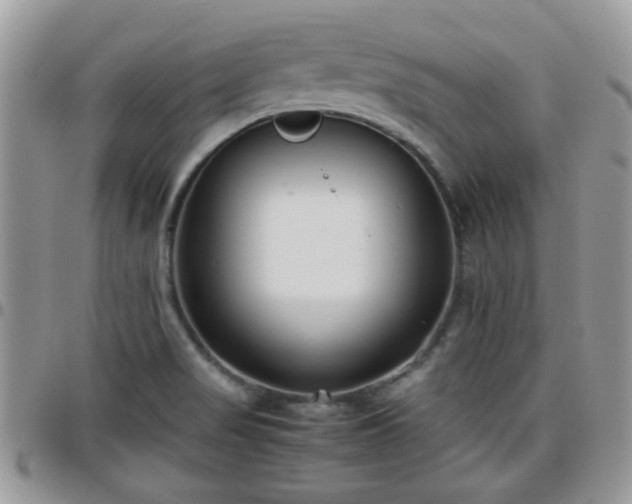 X0000095911517200801181344