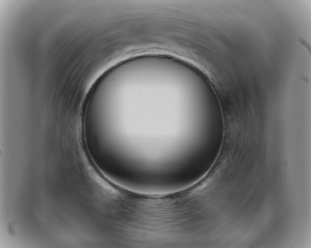 X0000095911518200801181345