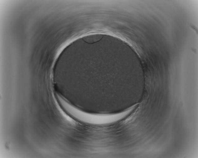 X0000095911519200801181345