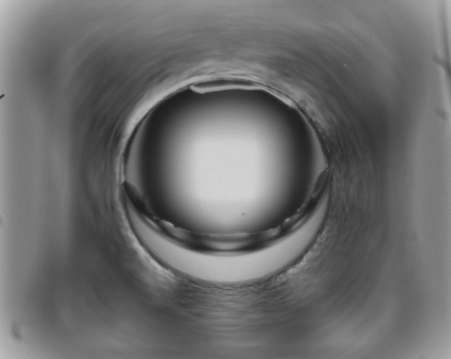 X0000095911520200801181345