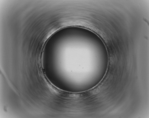 X0000095911521200801181345