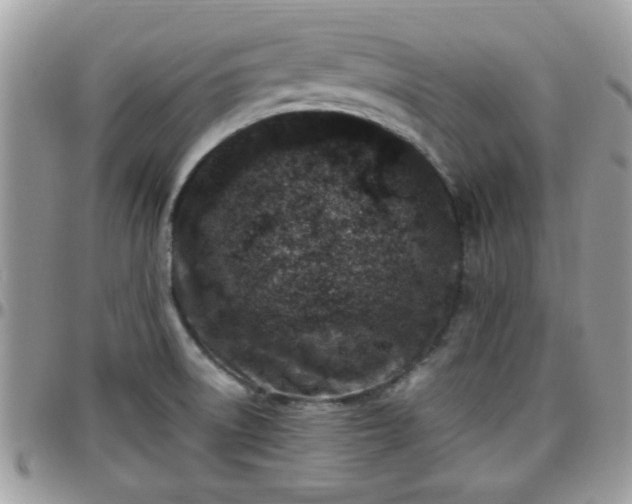 X0000095911522200801181345