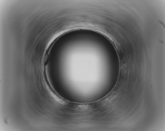 X0000095911523200801181345