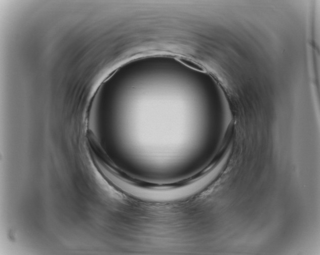 X0000095911524200801181345