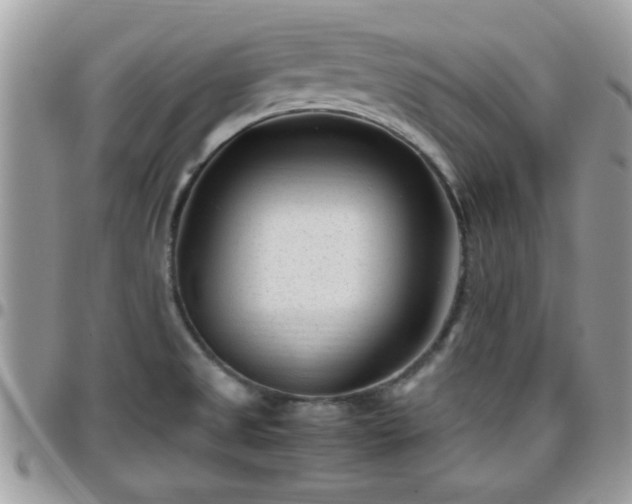 X0000095911525200801181345