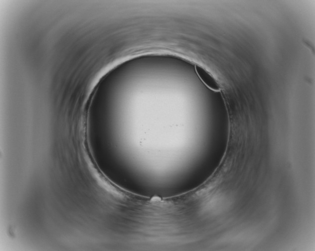 X0000095911526200801181345