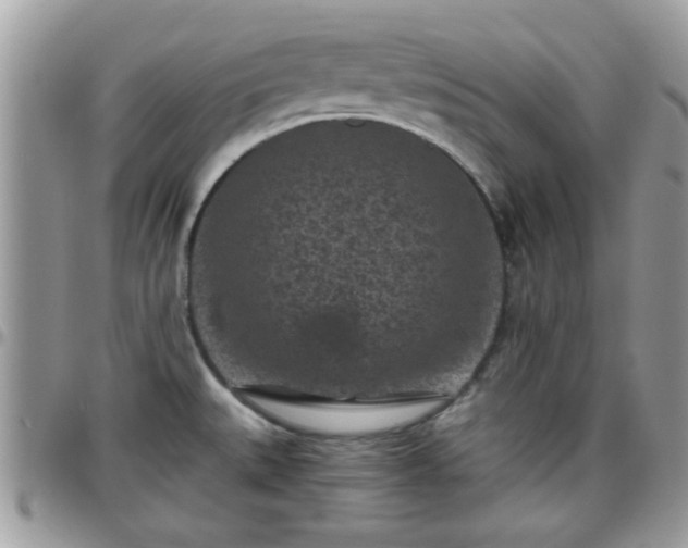 X0000095911527200801181345