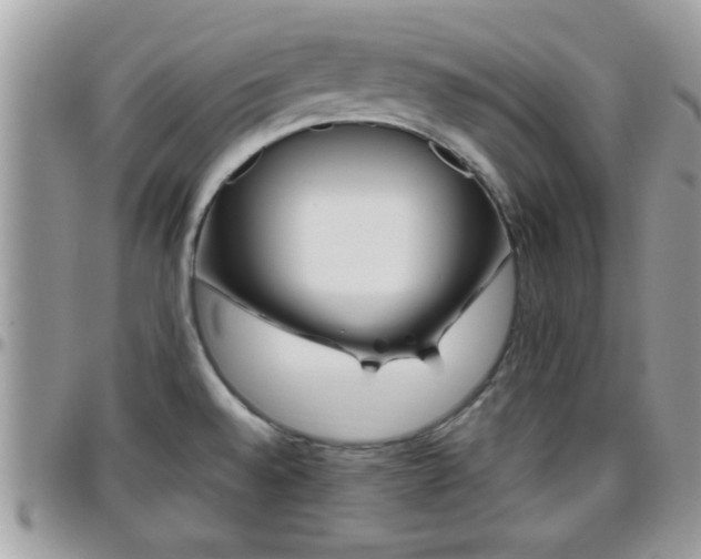 X0000095911528200801181345