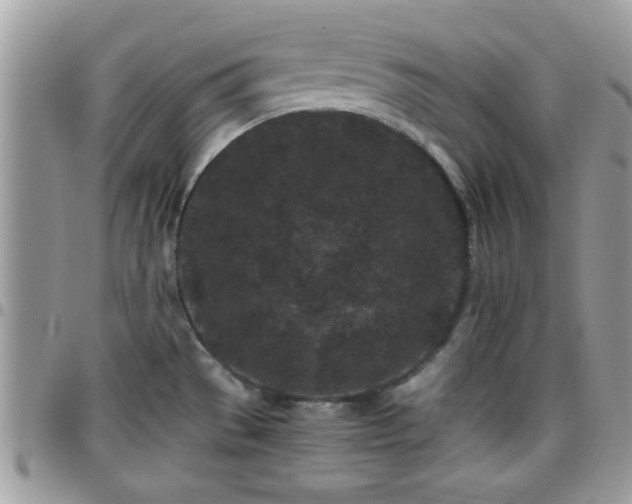 X0000095911529200801181345