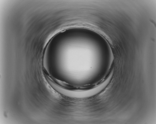 X0000095911530200801181345