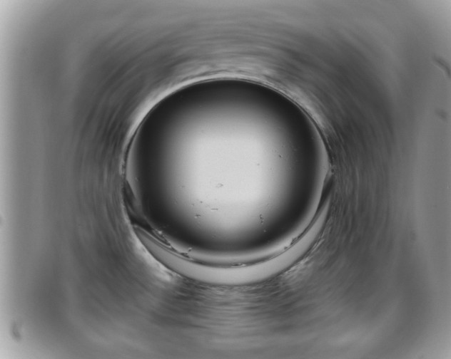 X0000095911532200801181345