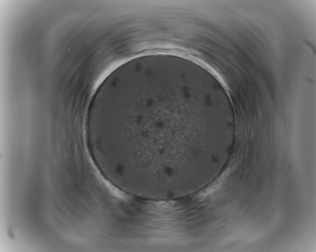 X0000095911533200801181345