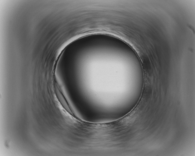 X0000095911534200801181345