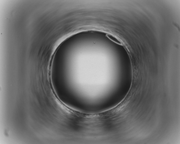 X0000095911535200801181345