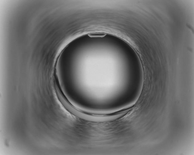 X0000095911536200801181345