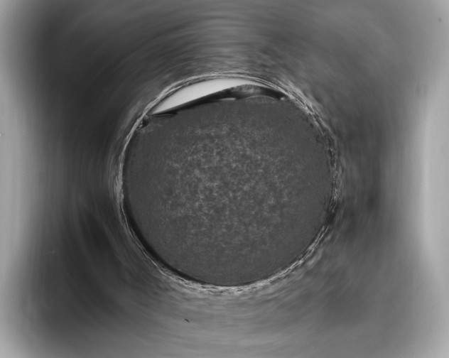 X0000095910002200801251019