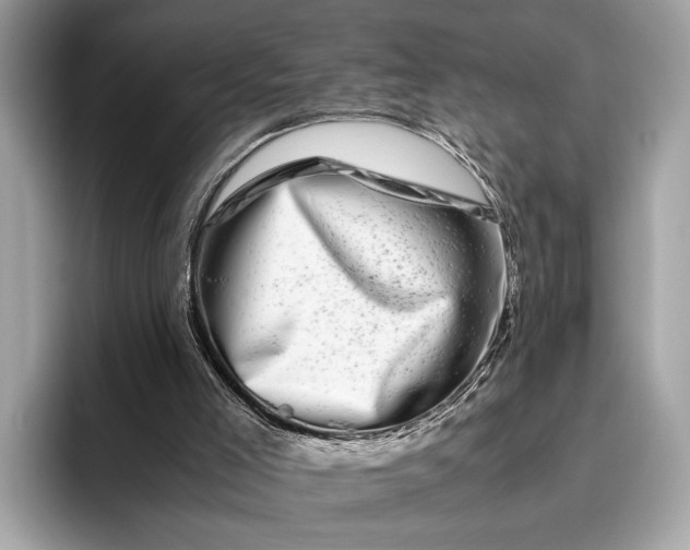 X0000095910005200801251019