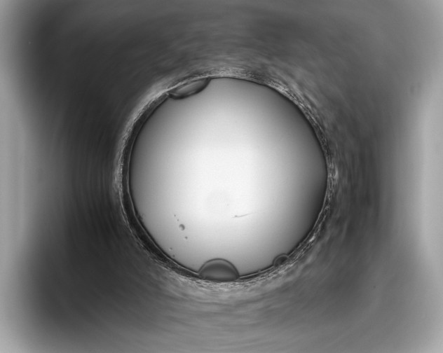 X0000095910006200801251019