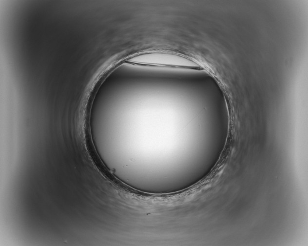 X0000095910007200801251019