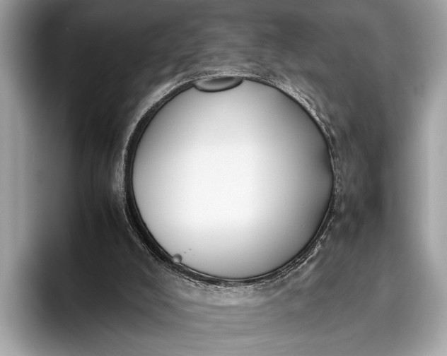 X0000095910008200801251019