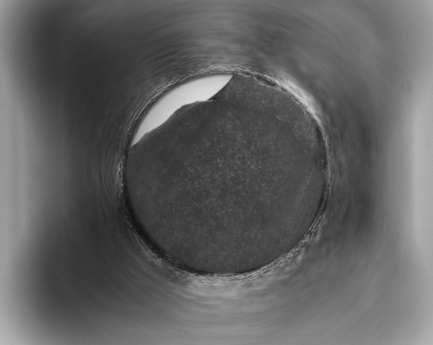 X0000095910009200801251019