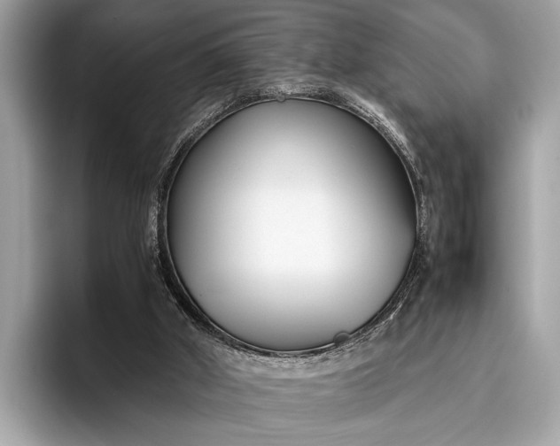 X0000095910010200801251019