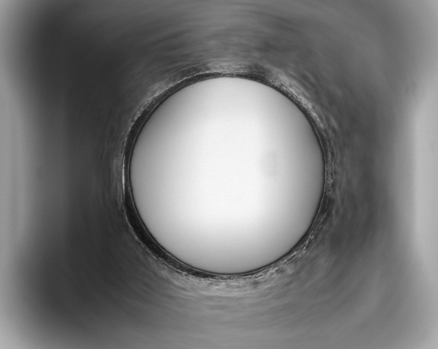 X0000095910011200801251019