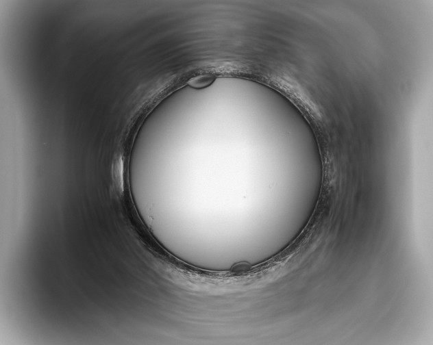 X0000095910014200801251019