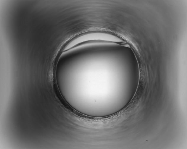 X0000095910015200801251019