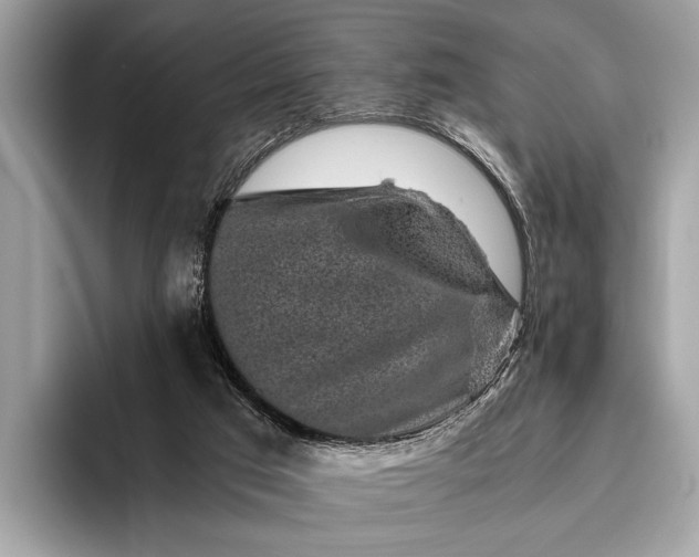 X0000095910017200801251019