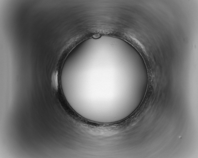 X0000095910020200801251019