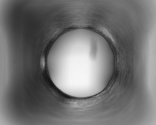 X0000095910021200801251019