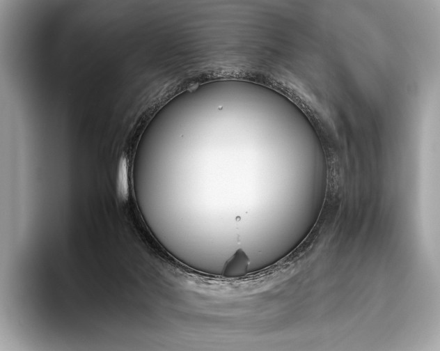 X0000095910022200801251019