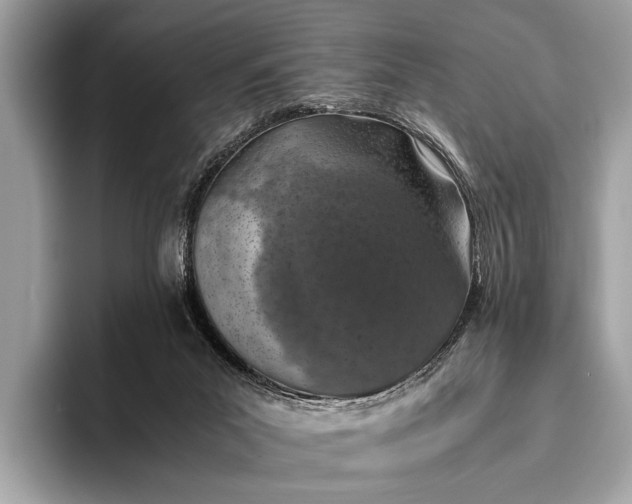 X0000095910023200801251019