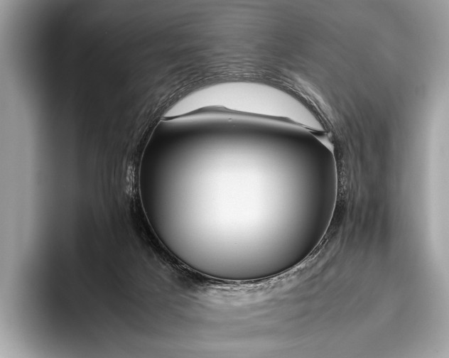 X0000095910025200801251019