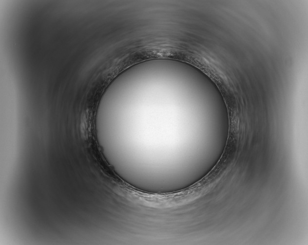 X0000095910030200801251019