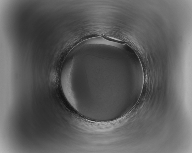 X0000095910031200801251019