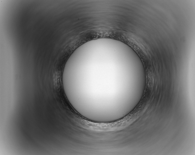 X0000095910034200801251019